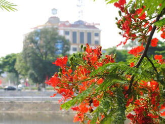 kinh-nghiem-du-lich-hai-phong-chi-tiet-nhat