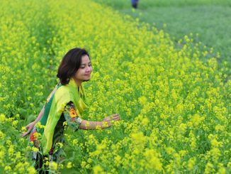 nên đi Hà Giang tháng mấy